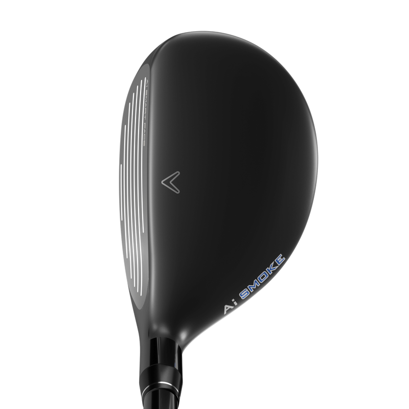 Paradym Ai Smoke MAX Fast Hybrid